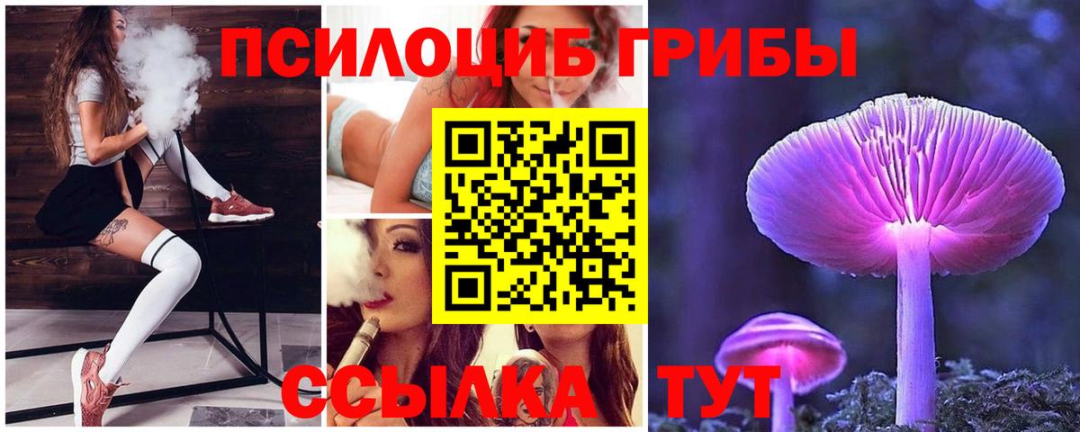 Псилоцибиновые грибы Psilocybine cubensis Люберцы
